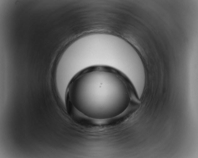 X0000088060252200705251348