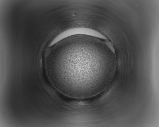 X0000088060254200705251348