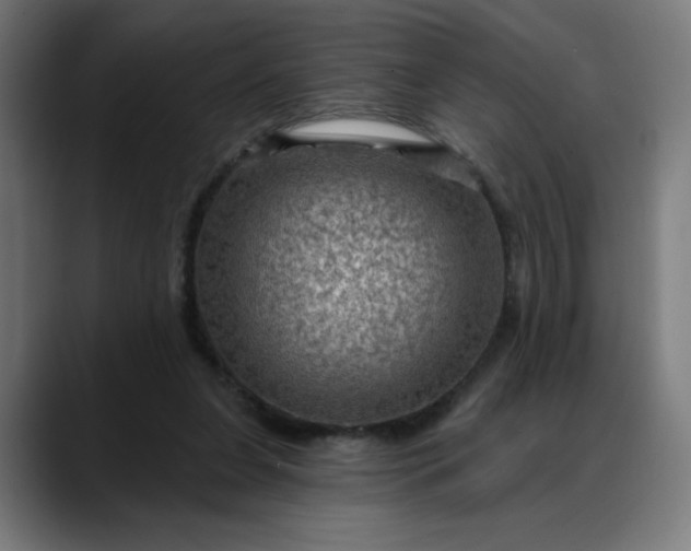 X0000088060255200705251348