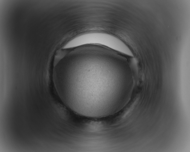 X0000088060256200705251348