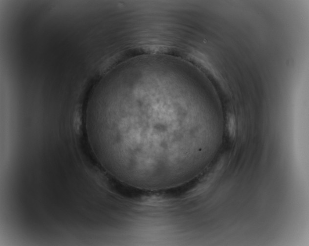 X0000088060259200705251348