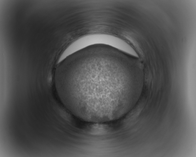 X0000088060261200705251348