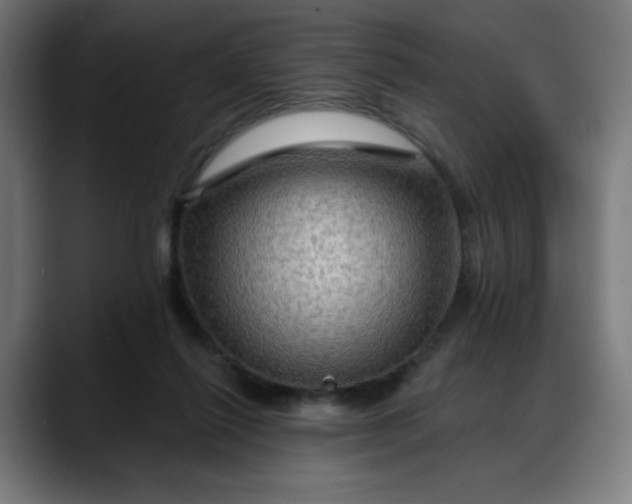 X0000088060262200705251348