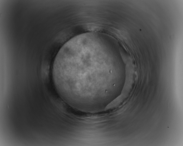 X0000088060263200705251348