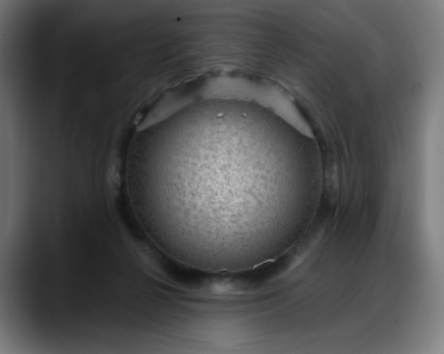 X0000088060264200705251348