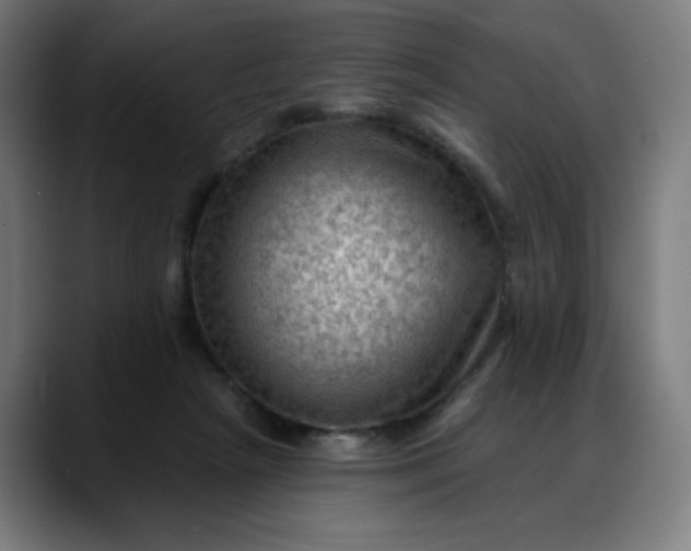 X0000088060265200705251348