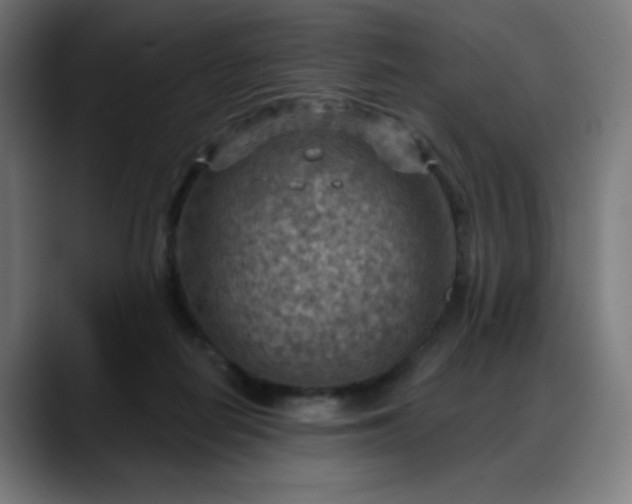 X0000088060266200705251348