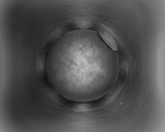 X0000088060268200705251348