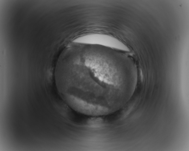 X0000088060271200705251348