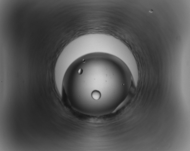 X0000088060272200705251348