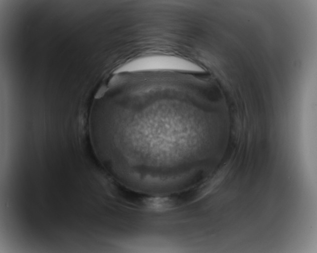 X0000088060273200705251348