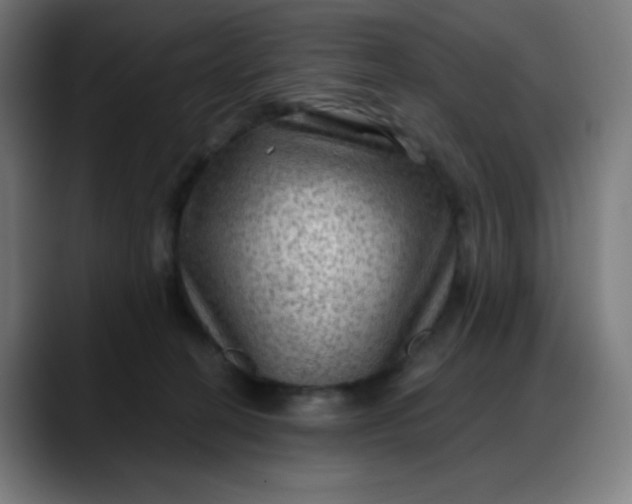 X0000088060274200705251348