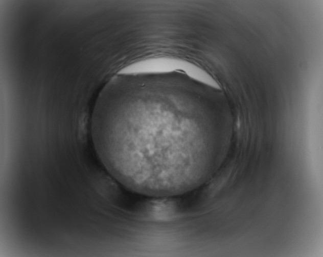 X0000088060275200705251348