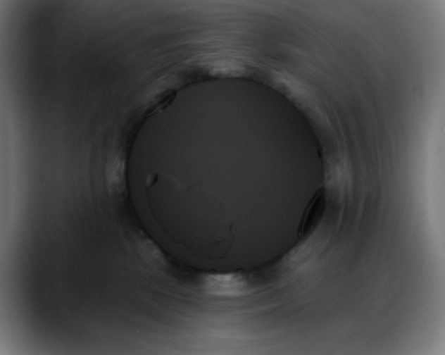 X0000088060281200705251348