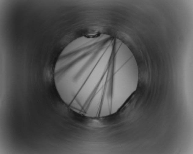 X0000088060285200705251349