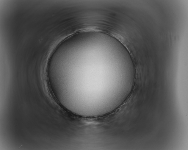 X0000088060289200705251348