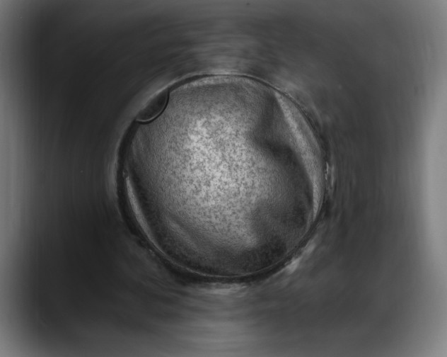 X0000088060292200705251348
