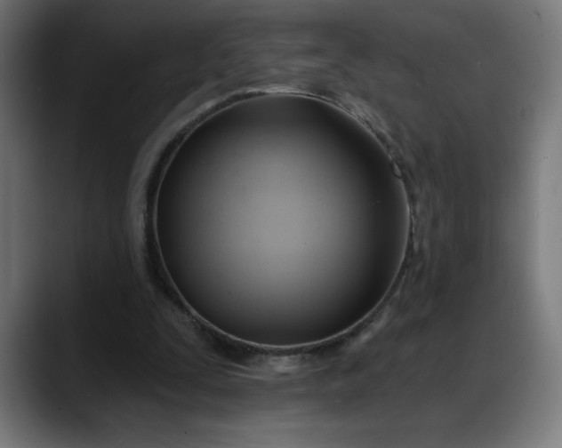 X0000088060295200705251348