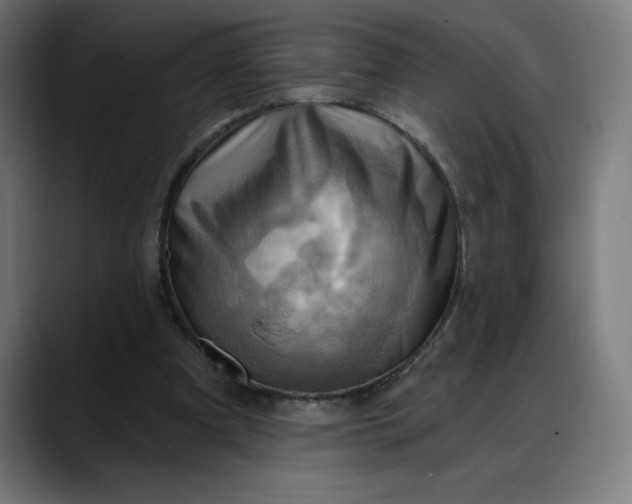 X0000088060297200705251348