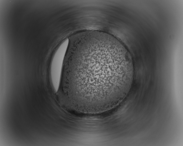 X0000088060299200705251348