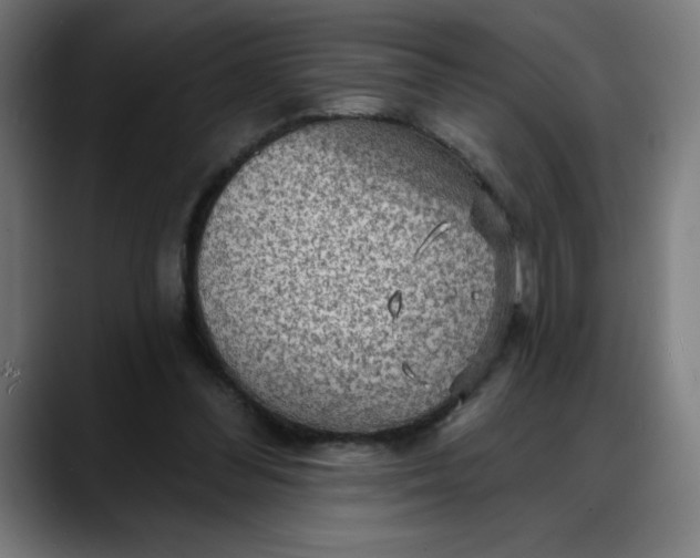 X0000088060300200705251348