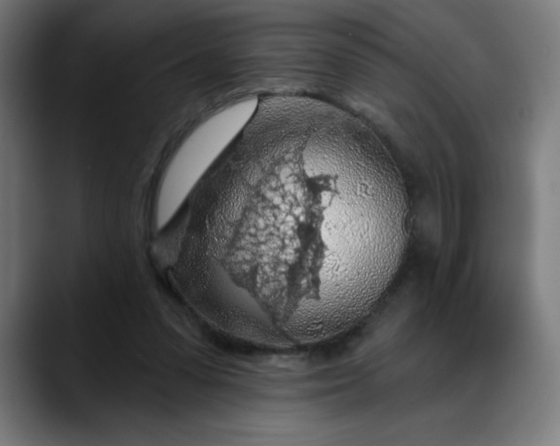 X0000088060303200705251348