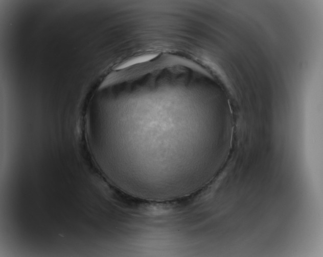 X0000088060305200705251348
