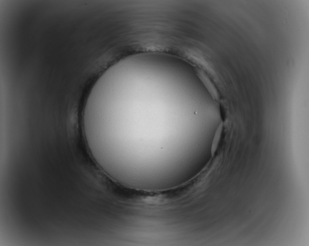 X0000088060306200705251348