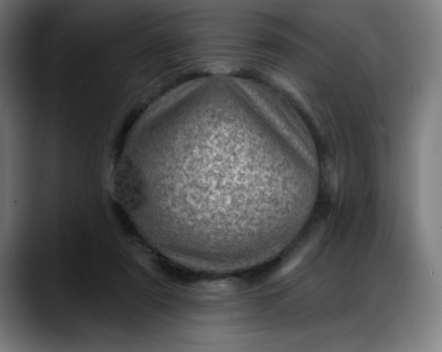 X0000088060307200705251348