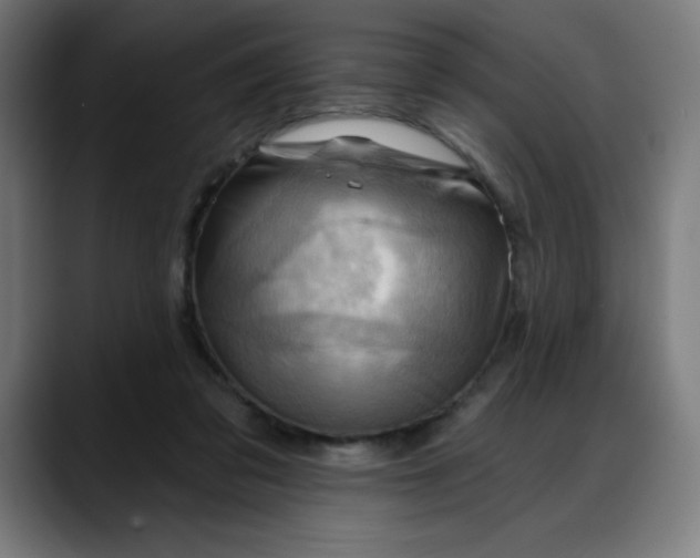 X0000088060309200705251348