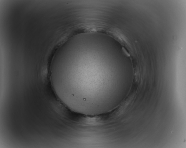 X0000088060314200705251347
