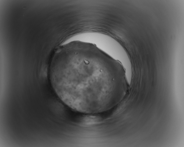 X0000088060315200705251347