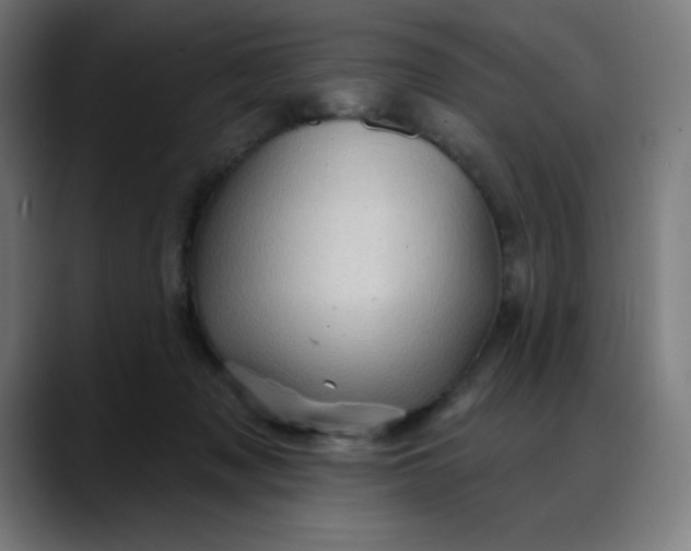 X0000088060317200705251347