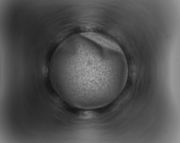 X0000088060324200705251347