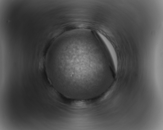 X0000088060325200705251347