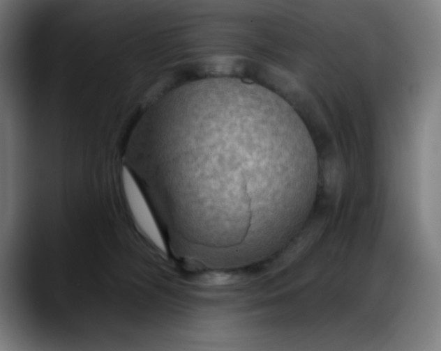 X0000088060326200705251347