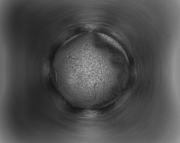 X0000088060328200705251347