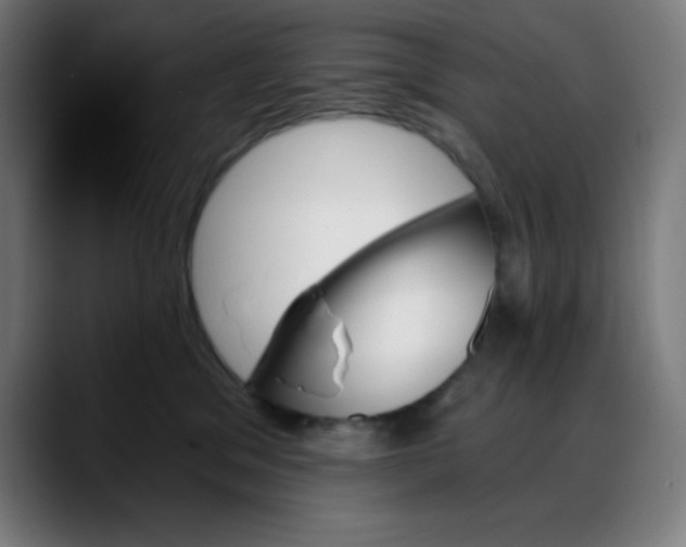 X0000088060329200705251347