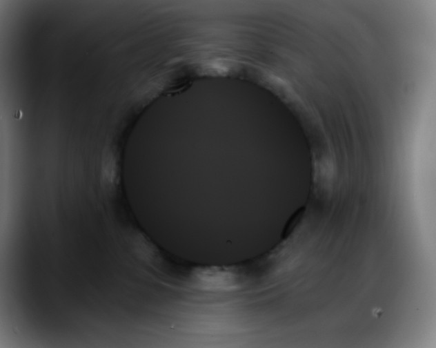 X0000088060331200705251347