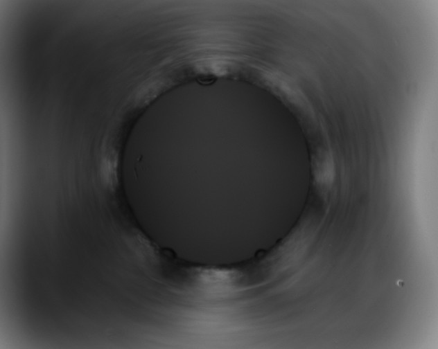X0000088060332200705251347