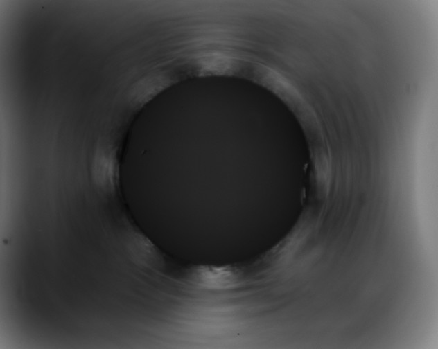 X0000088060333200705251347