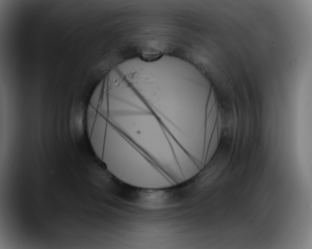 X0000088060334200705251347