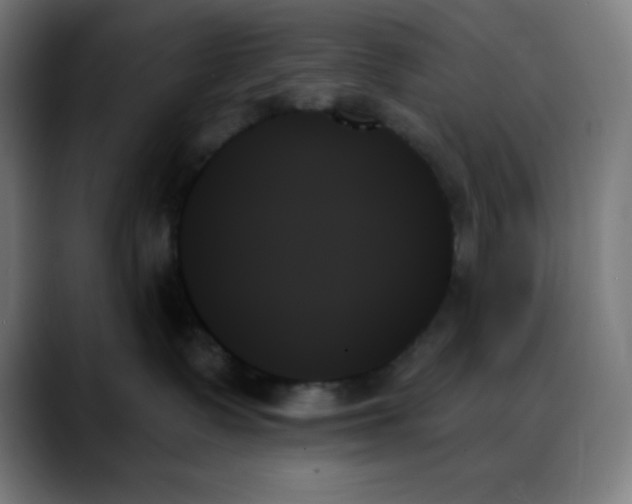 X0000088060335200705251347