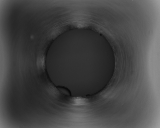 X0000088060336200705251347