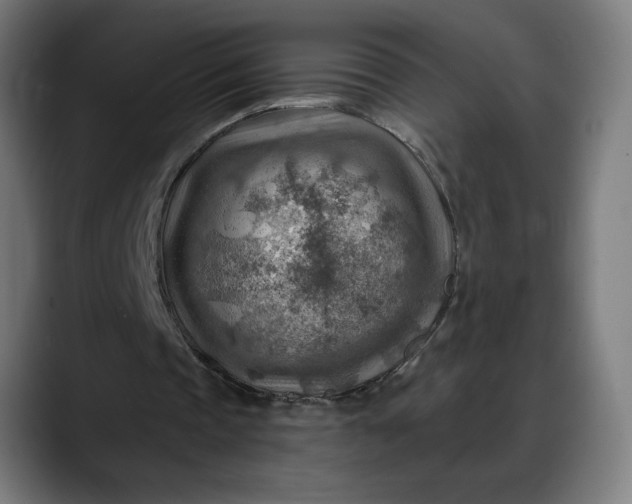 X0000088060337200705251347