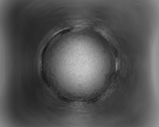 X0000088060339200705251347