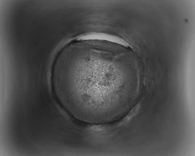 X0000088060341200705251347