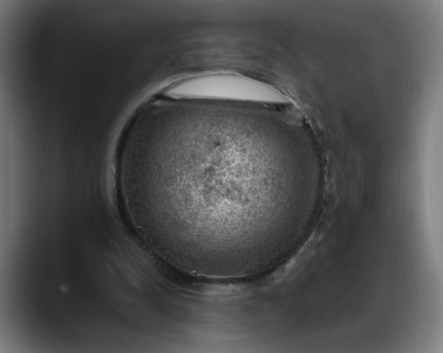 X0000088060342200705251347