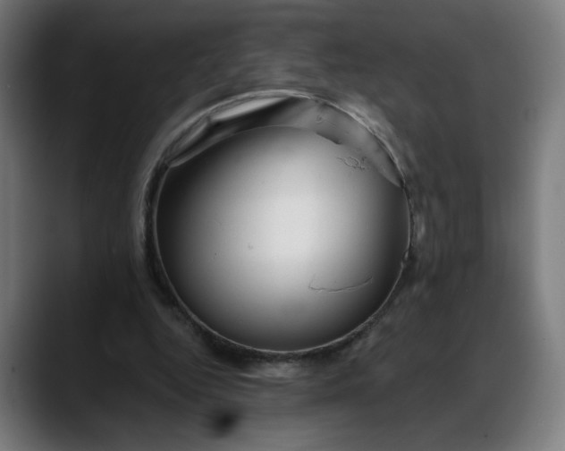 X0000088060344200705251347