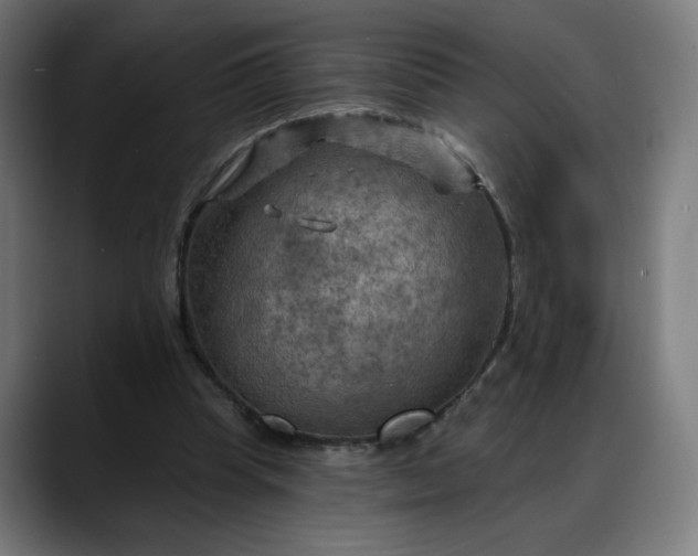 X0000088060345200705251347